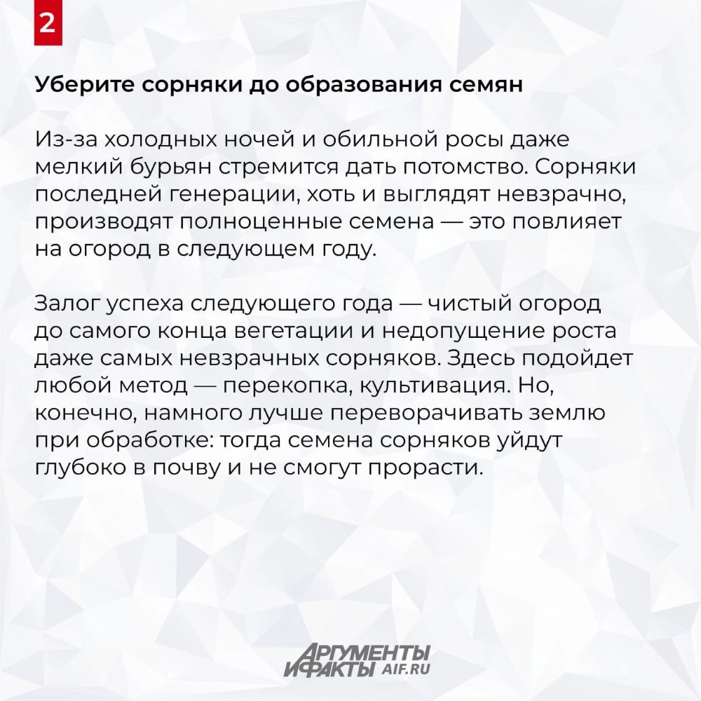 Нажмите для увеличения
