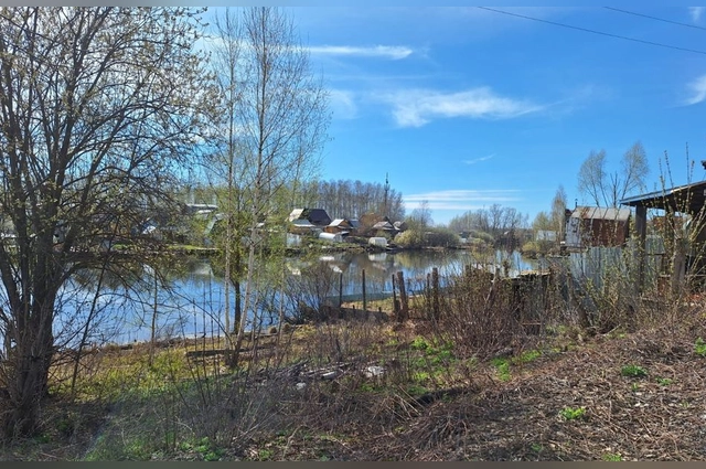 По мнению специалистов, в формировании агрессивных животных виноваты местные жители и зоозащитники.