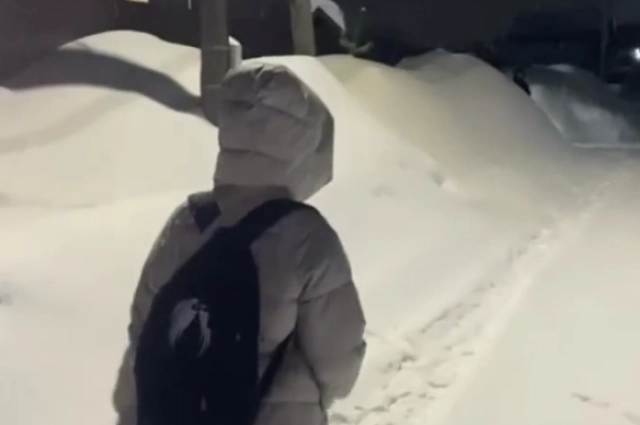 До школы детям нужно идти три километра