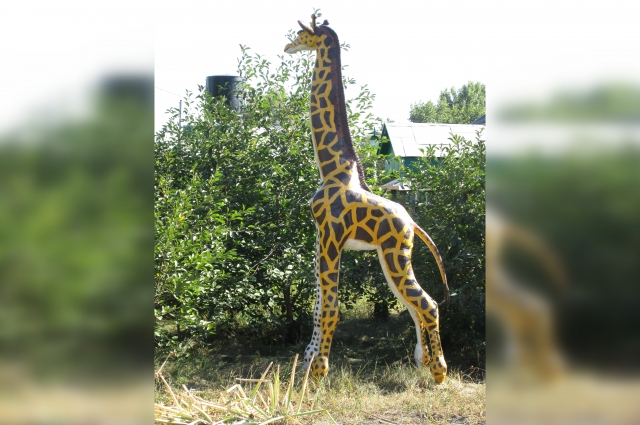 Жираф жирафа 3,5 метра высотой украшает приусадебный участок