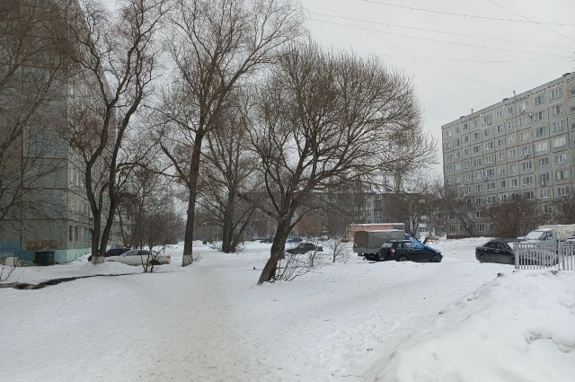 Двор, в котором жила девочка и её дом.