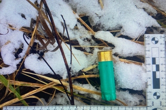 Патрон на снегу.