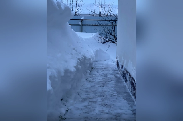 За январь в Татарстане выпадет около 60 мм снега.