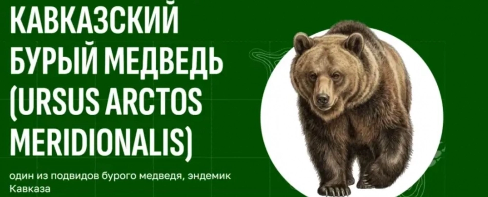 Фото для проекта «Хранители живой природы»