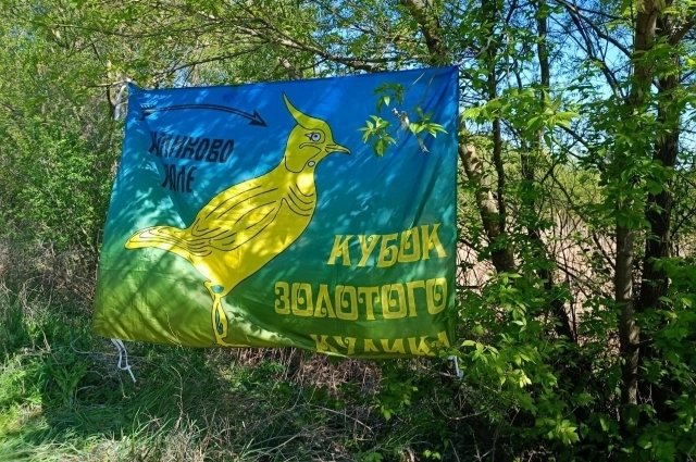 Флаг с куликом.