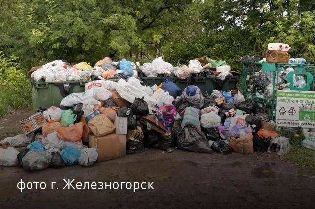 Проблемы с вывозом мусора есть не только в краевой столице.