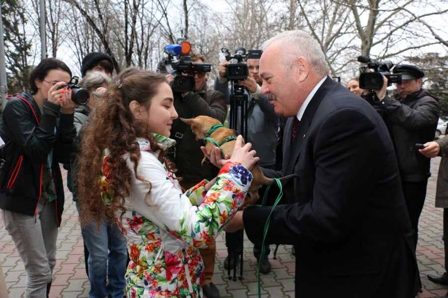 Путин подарил 11-летней девочке из Севастополя чихуахуа
