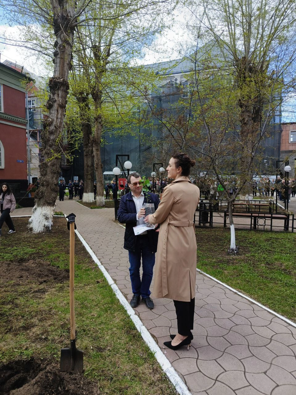 Тополь Победы