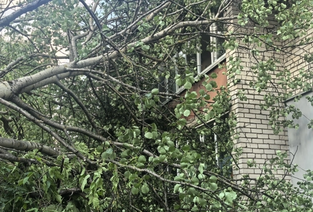 Из окон не видно улицы.