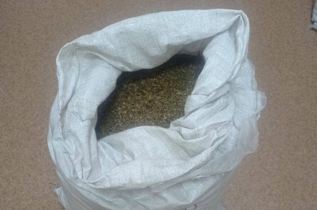 Высушённая конопля обнаруженная в бане у сельчанки. 