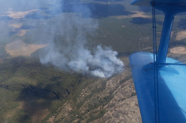 В ПРикамье совершенствуется система мониторинга лесных пожаров. 