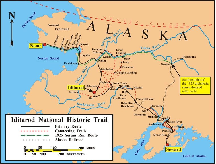 В 1925-м в Анкоридже произошло чудо. Карта пути упряжек (маршрут 1925 года выделен зелёным)
