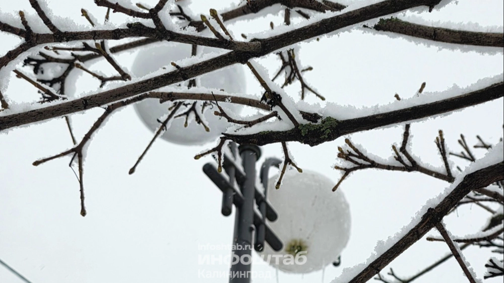 Снегопад, снег, зима