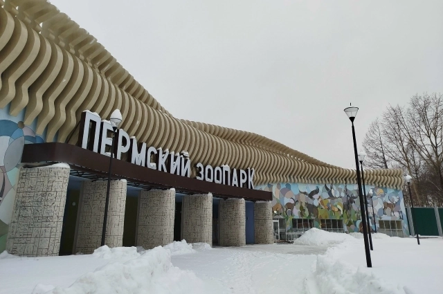 Зоопарк Перми анонсировал новогоднюю программу и новых животных, которых до этого не было