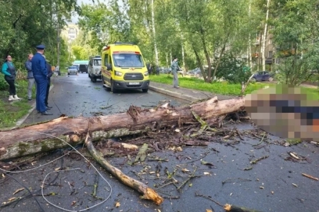 Мужчина погиб на месте...