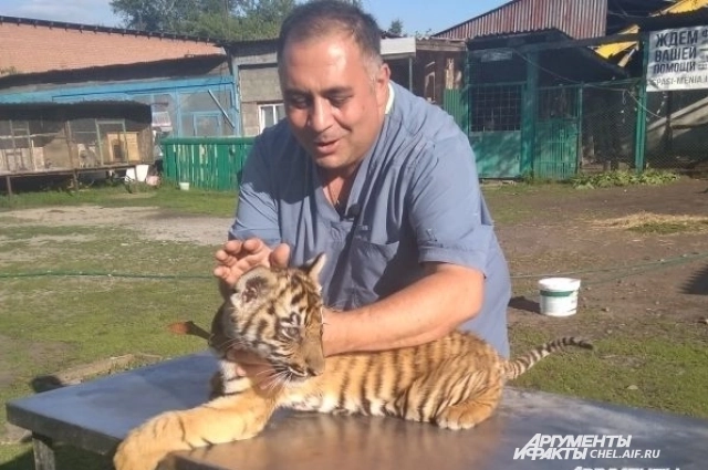 Маленький Гектор.