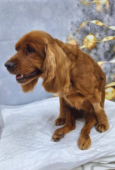 Лея очень добрая и коммуникабельная