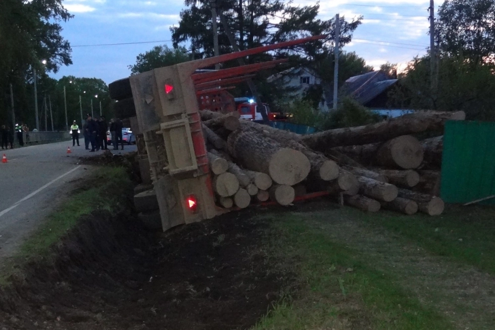 Инерция при падении была такая, что лесовоз прокопал канаву - отбежать в сторону у школьников не было ни шанса.