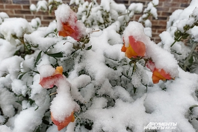 В Перми выпало 4 см снега.