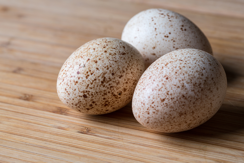 Какие яйца самые полезные для организма thumbnail