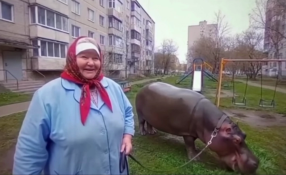 Бабушка и Булька-Барабулька.