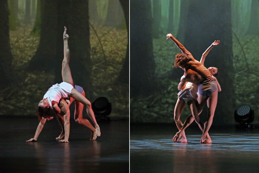 Танец без имени