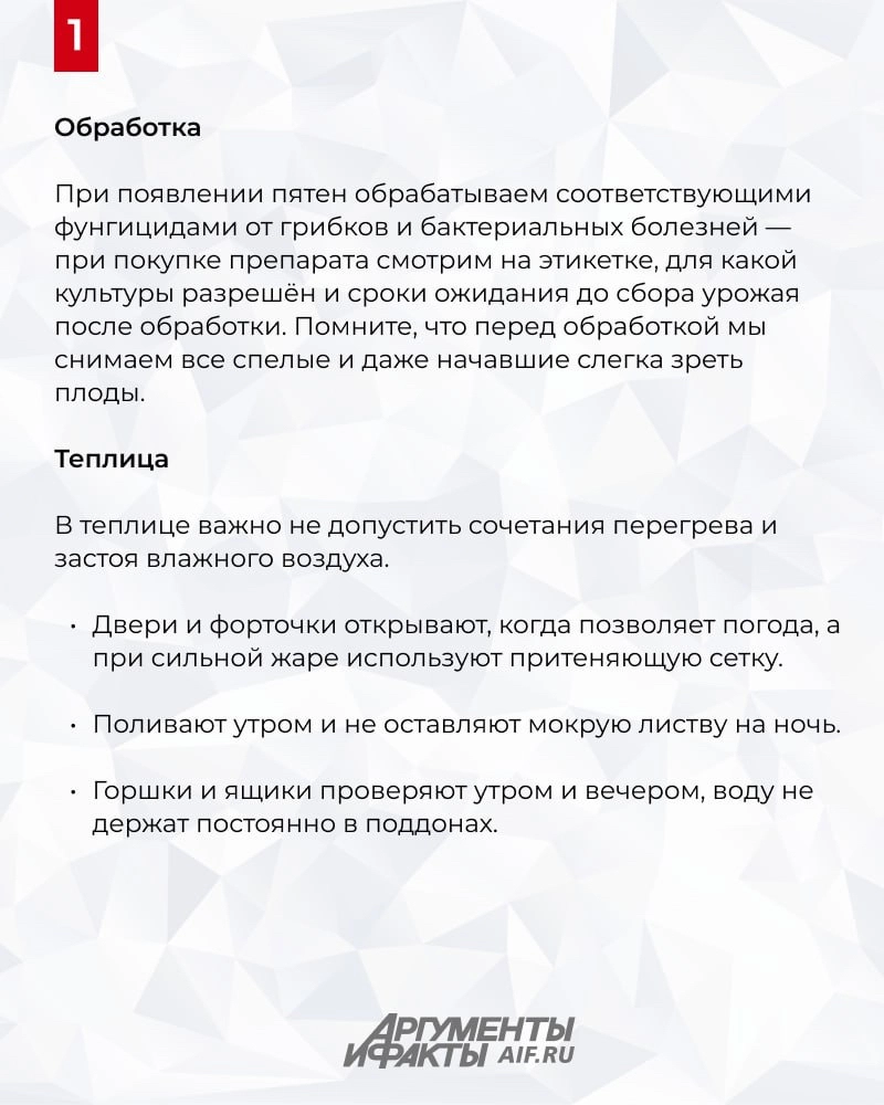 Нажмите для увеличения