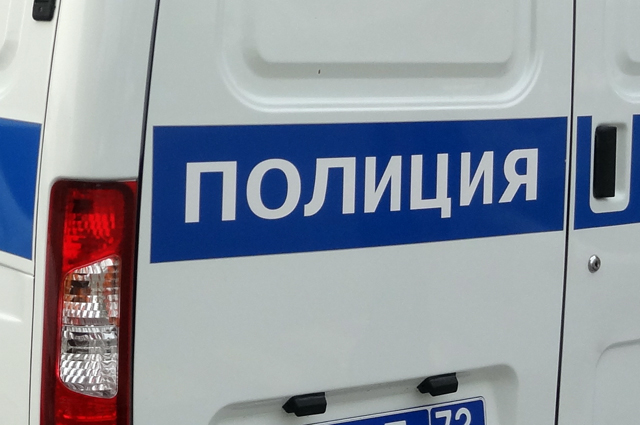 В какой-то момент собака, не проявляя агрессии, побежала в сторону малыша.