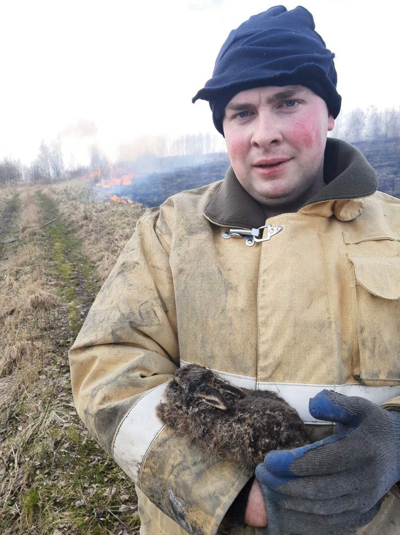 Спасённый от пожара зайчонок на руках пожарного Павла Усанькова.