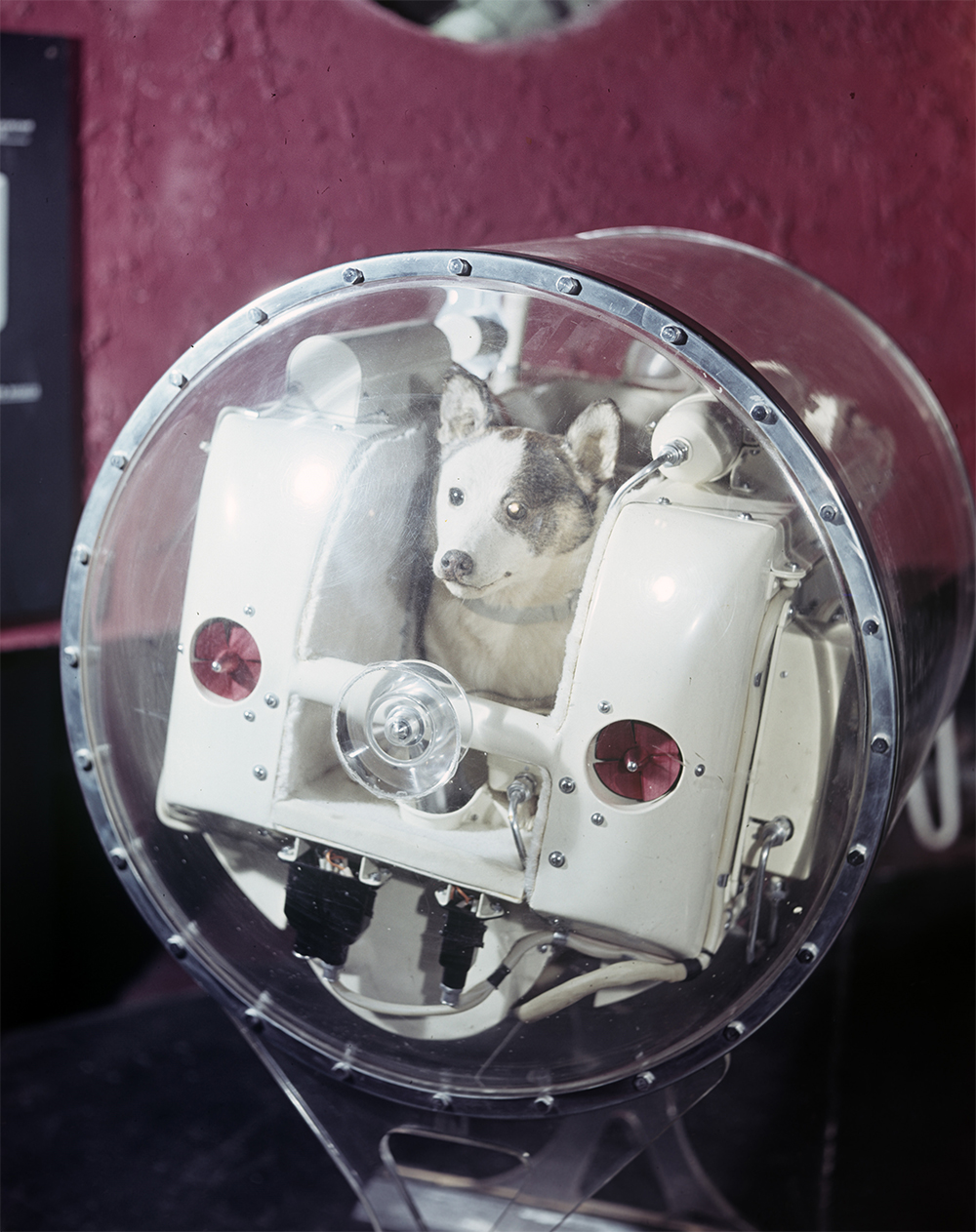 Макет контейнера с собакой Лайкой, запущенного со вторым советским искусственным спутником Земли 3 ноября 1957 года.