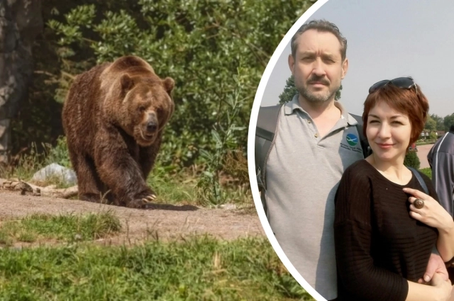 В месте поисков Усольцевых встретили медведя. 