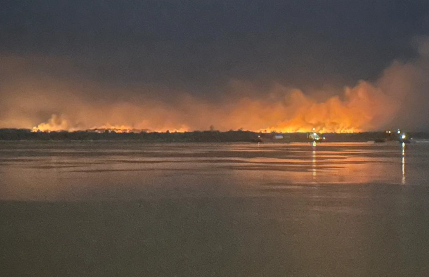 Предоставлено читателем hab.aif.ru