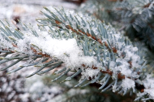 На народному поверью, 21 ноября можно предугадать погоду.