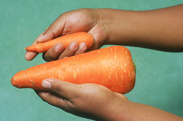 ГМО-продукты, морковь, 