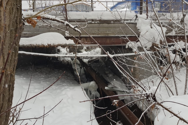 Собака просидела в яме с талой водой