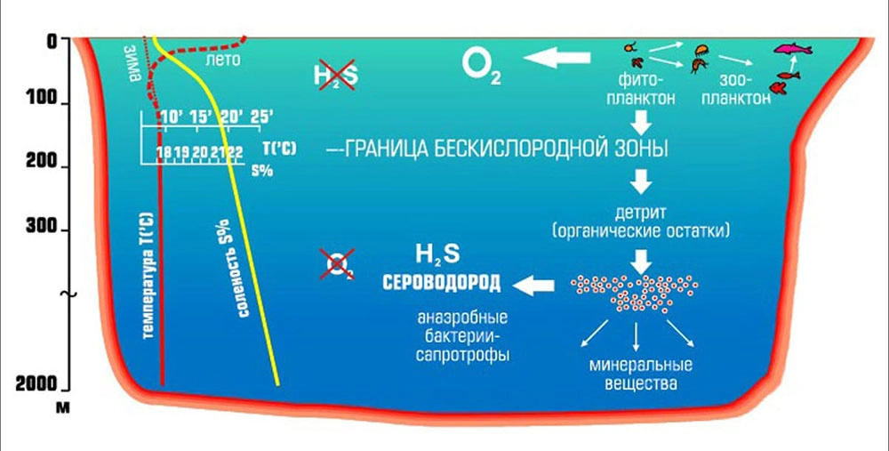 Вот так выглядит схема расположения зон Чёрного моря.