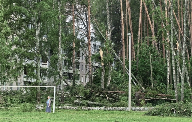 Кажется, будто здесь пришел настоящий смерч.