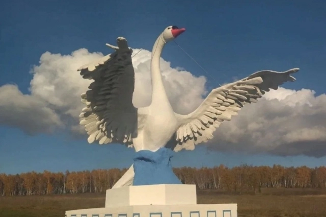 Белого лебедя почитают хонгодоры и хори.