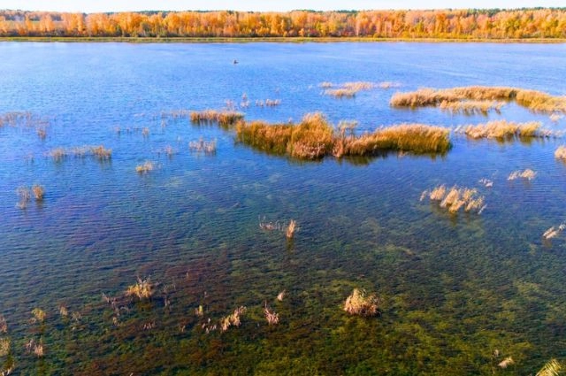 Озеро есть, но его нет. Чем примечательны водоёмы Богдановичского района