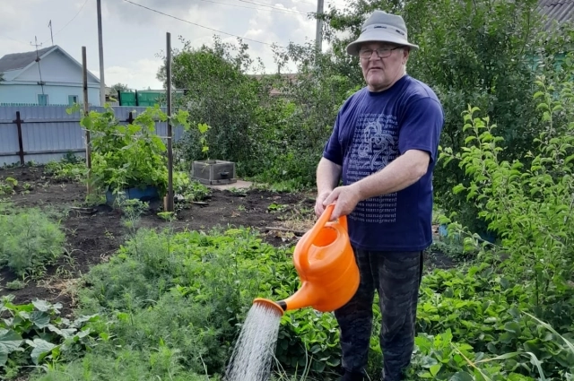 В огороде.