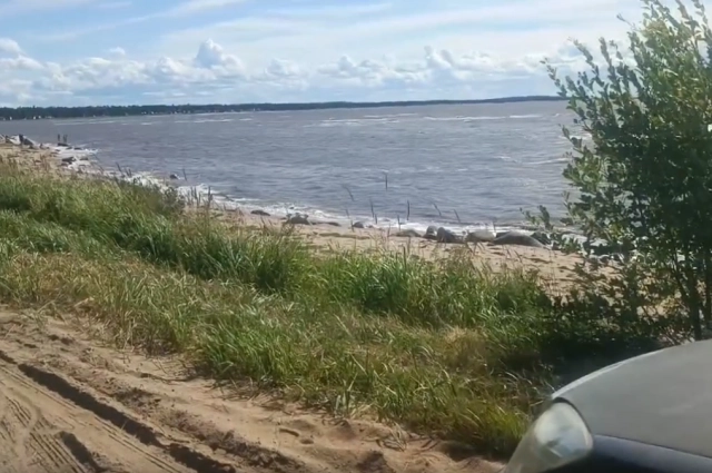 Белое море