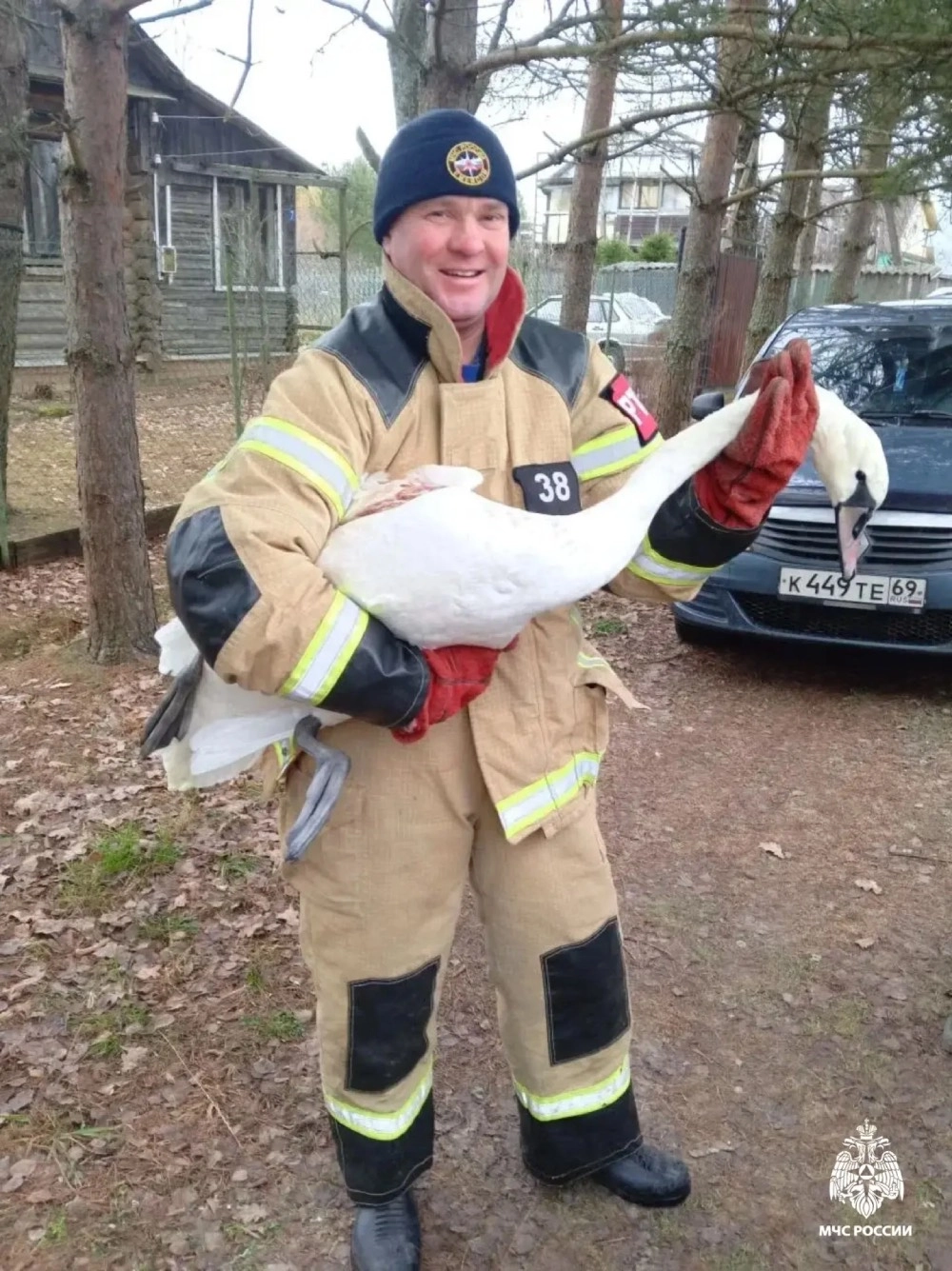 Лебедя спасли совместными усилиями.