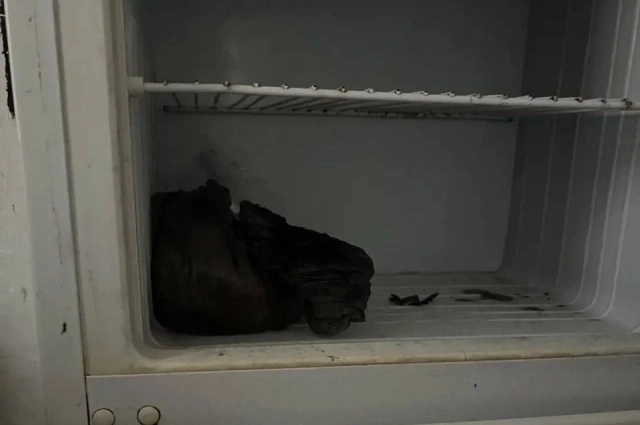 Так выглядит холодильник в доме.