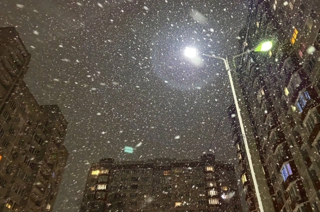 Снегопад и метель 17 января - хорошая примета.