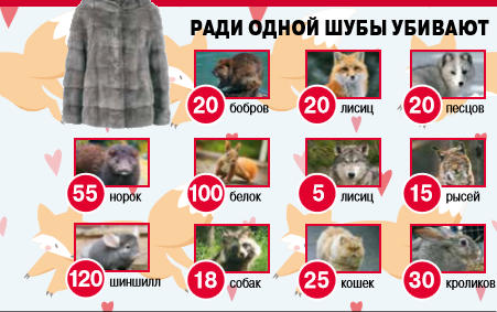 животные