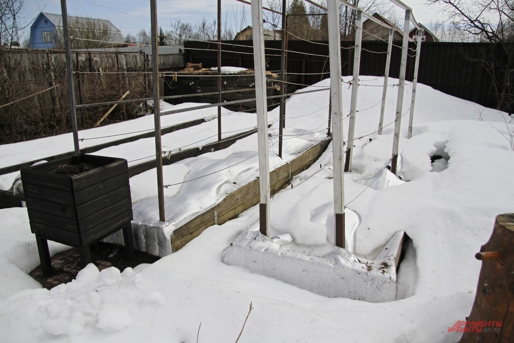 Укрытие для винограда.