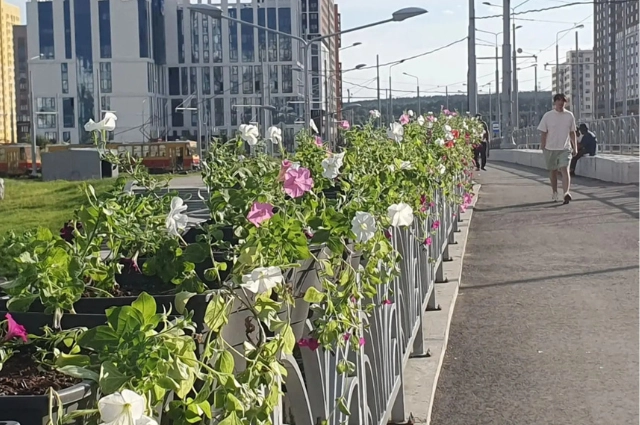 Академический район Екатеринбурга отметил День города
