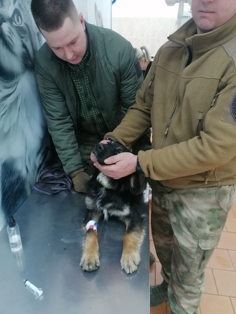 В клинике.