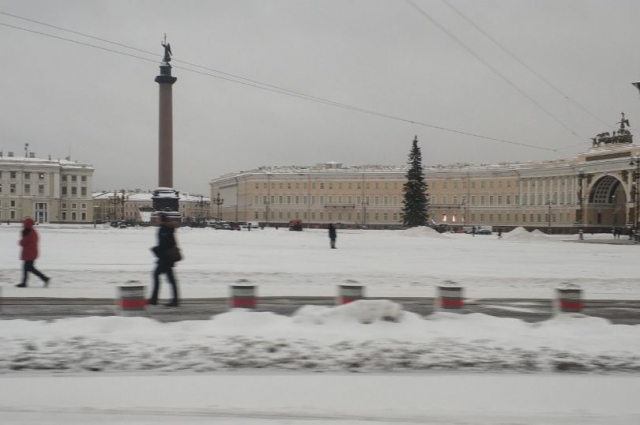Новогоднее дерево на главной площади Петербурга уже стоит и ждёт, чтобы его украсили.