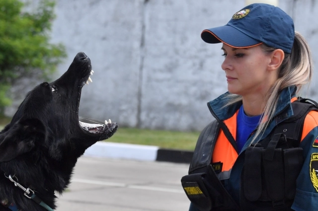 Происшествием заинтересовался Бастрыкин.